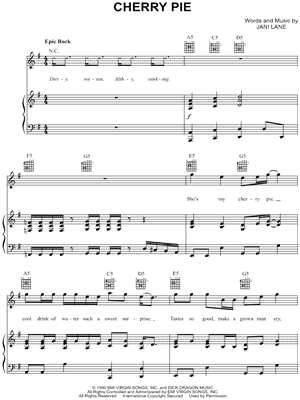 Collection: 12 Big Hair Big Rock Hits of the 80s and 90s