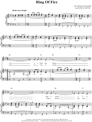 Collection: 12 Country Outlaw Hits