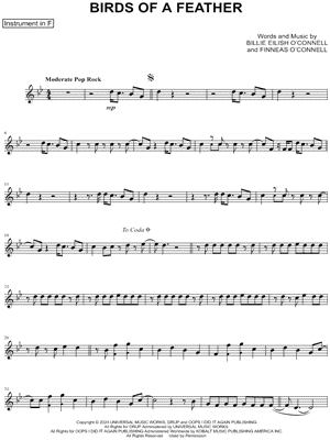 Collection: BIRDS OF A FEATHER - F Instrument & Piano