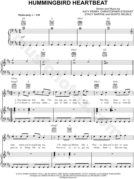 Hummingbird Heartbeat