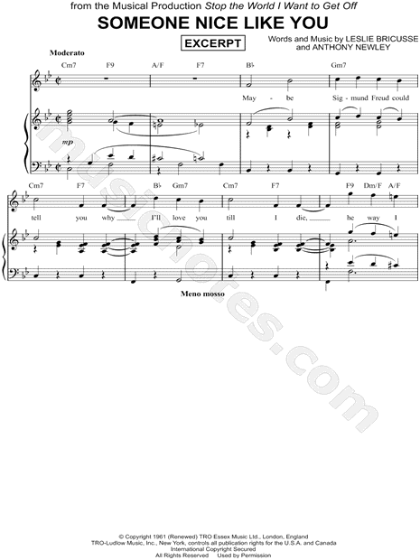 Someone Nice Like You [Excerpt]