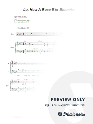 Lo, How A Rose E'er Blooming (2-part choir - (TB)