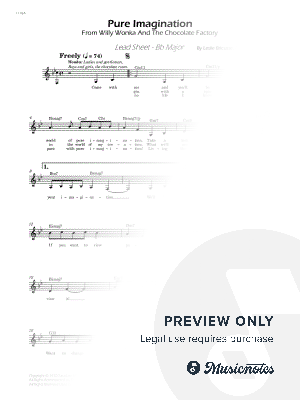Pure Imagination - Lead Sheet - Bb Major