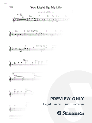 You Light Up My Life - Flute Solo (W/Chords)