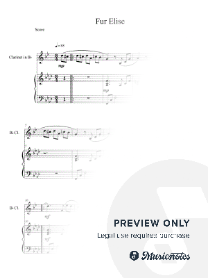   Fur Elise (Clarinet Solo with Piano Accompaniment)