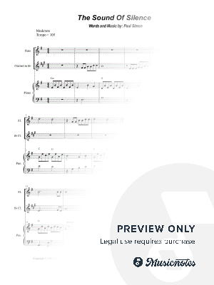 The Sound of Silence (Duet for Flute and Bb-Clarinet)