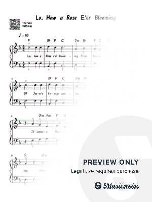 Lo, How a Rose E’er Blooming | Easy Piano | Christmas Carol | Simplified Arrangement for Beginner Pianists | Simple Sheet Music | Lyrics, Fingering, Chords Included | Beginner Version | Piano | Keyboard | Easy Arrangement | Video Tutorial | Holiday Carols