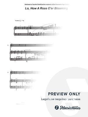Lo, How A Rose E'er Blooming (Flute solo and Piano)