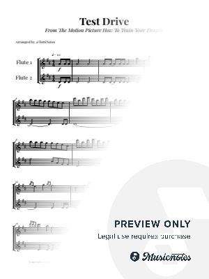 Test Drive - From How to Train Your Dragon | FLUTE DUET