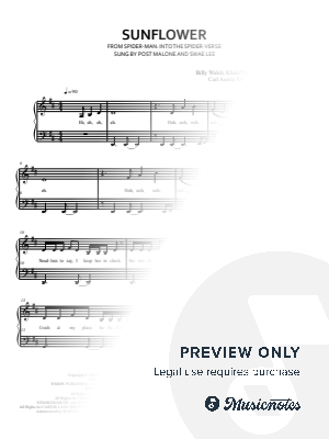 Sunflower: Spider-man Into the Spider-verse