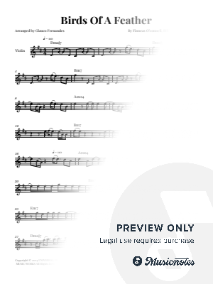 Birds Of A Feather - Billie Eilish | VIOLIN SOLO (with Chords)