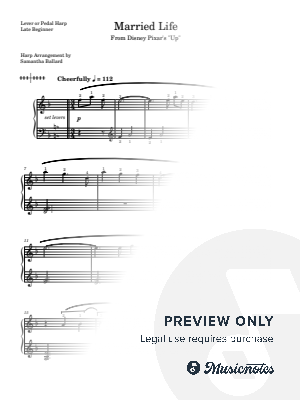 Married Life from Up