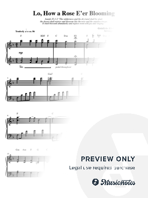 Lo, How a Rose E'er Blooming by Stanton Lanier - Sheet Music