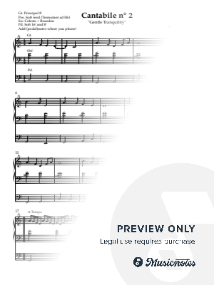 Cantabile n° 2 “Gentle Tranquility”, Opus 19 by Rien Schalkwijk - Sheet Music