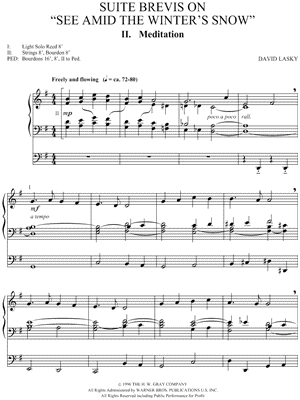 Suite Brevis on "See Amid the Winter's Snow"