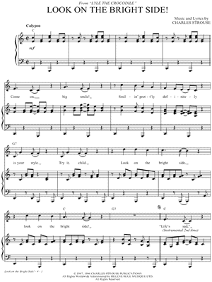 Look on the Bright Side!