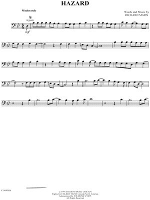 Hazard