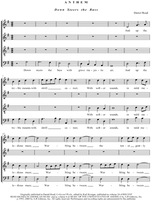 Down Steers the Bass