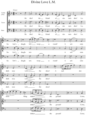 Divine Love L.M.