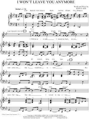 I Won't Leave You Anymore