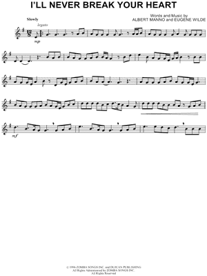 I'll Never Break Your Heart