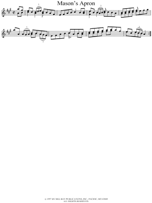 Mason's Apron