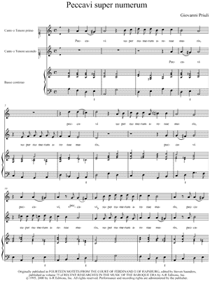 Peccavi super numerum