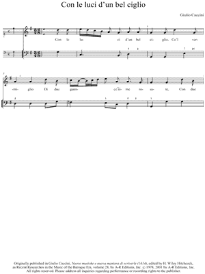 Con le luci d'un bel ciglio