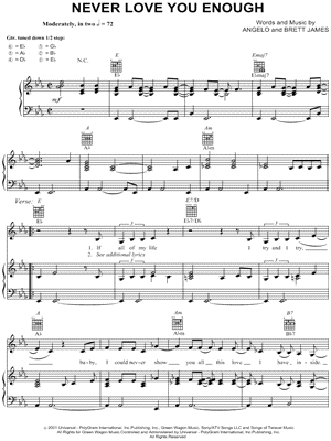 Never Love You Enough