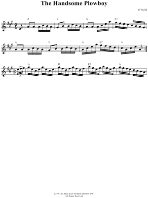 The Handsome Plowboy