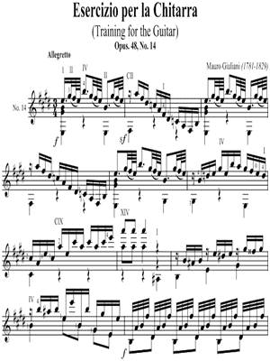 Esercizio Per La Chitarra No. 14