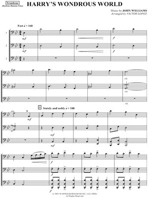 Harry 's Wondrous World