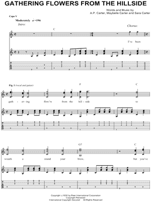 Gathering Flowers From the Hillside