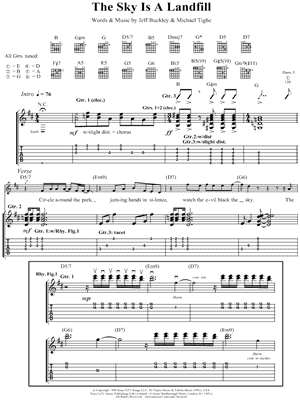 The Sky Is a Landfill