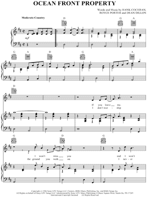 Ocean Front Property