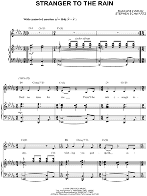 Stranger To the Rain