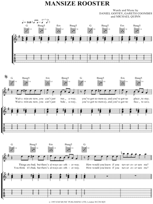 Mansize Rooster
