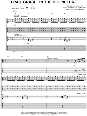 Frail Grasp on the Big Picture