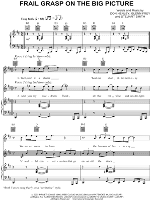 Frail Grasp on the Big Picture