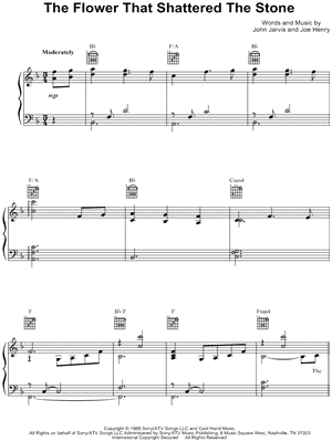 The Flower That Shattered the Stone