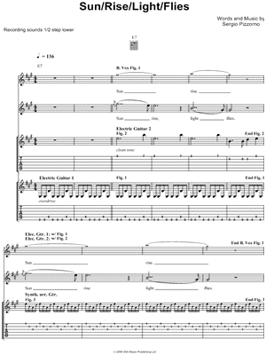 Sun/Rise/Light/Flies