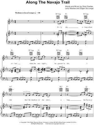 Along the Navajo Trail