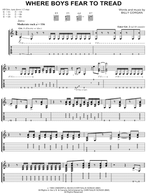 Where Boys Fear To Tread