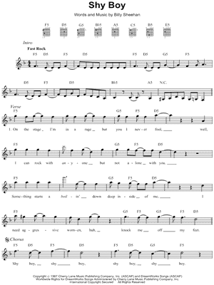 Shy Boy