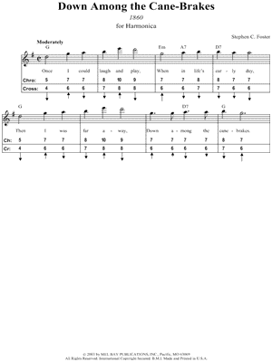 Down Among the Cane-Brakes