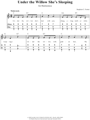 Under the Willow She's Sleeping