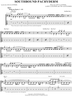 Southbound Pachyderm