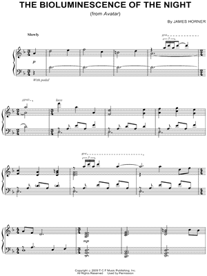 The Bioluminescence of the Night