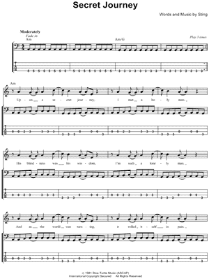 Secret Journey