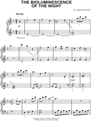 The Bioluminescence of the Night